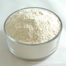 Especificaciones de polvo de ajo blanco Polvo de ajo de jengibre